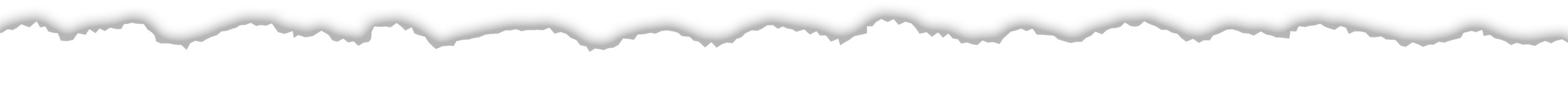 Black jagged line against a white background, resembling torn paper or a sound wave, serving as a visual divider or graphic element.