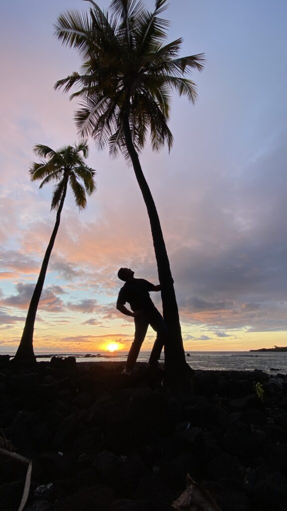 Silhouette of a person leaning against a palm tree during a vibrant sunset by the ocean. The sky is painted in soft pink, orange, and blue hues.